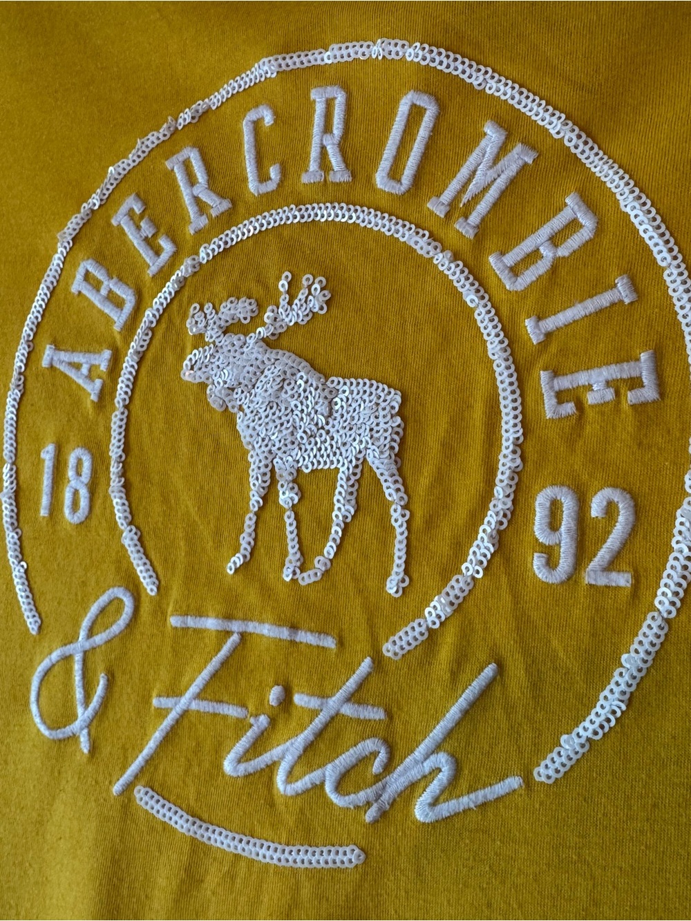 Abercrombie & Fitch Kids Yellow Logo Tee 13/14 - Picture 3 of 5